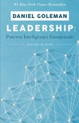 Leadership - Puterea inteligentei emotionale